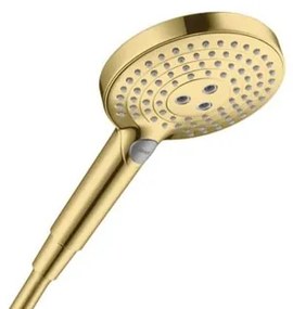 Hansgrohe Raindance-Select sprchová hlavica leštený vzhľad zlata 26 530 990