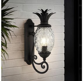 Hinkley HK-PLANTATION-M-MB - Nástenné svietidlo PLANTATION 1xE27/40W/230V čierna