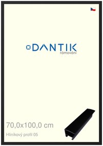 DANTIK rám na obraz 70x100 | ALU Černá matná (Plexi Čiré)
