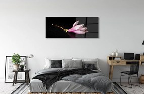 Obraz plexi Kvetina voda 120x60 cm