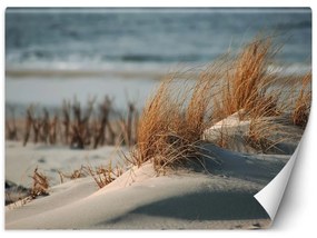 Fototapeta, Pláž Mořské duny Krajina - 200x140 cm