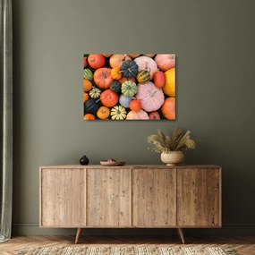 Sklenený obraz - Tekvica (70x50 cm)