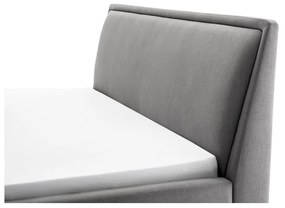 Svetlosivá čalúnená dvojlôžková posteľ s úložným priestorom s roštom 160x200 cm Frieda – Meise Möbel