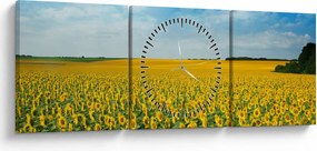 Obraz - pás slnečníc (s hodinami) (90x30 cm)