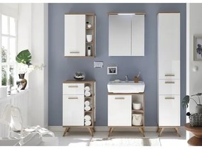 Kúpeľňová skrinka pod umývadlo Pelipal Quickset 923 biela 60,5 x 65 x 33 cm