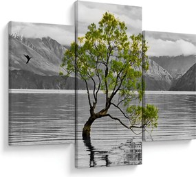 Obraz stromu uprostred jazera (90x60 cm)