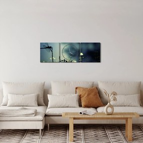 Obraz - Vážka za trblietavej noci (s hodinami) (90x30 cm)