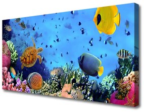 Obraz Canvas Koralový útes príroda 120x60 cm