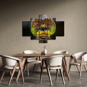 Detailný obraz očí hmyzu (150x105 cm)