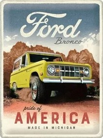 Plechová ceduľa Ford - Bronco - Pride of America, (30 x 40 cm)