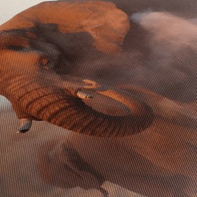 Obraz - Veľký slon africký (120x50 cm)