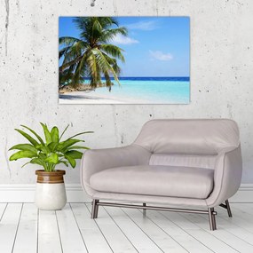 Obraz palmy na pláži (90x60 cm)