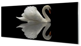 Obraz na akrylátovom skle Swan v noci 120x60 cm