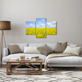 Obraz žltého poľa (90x60 cm)
