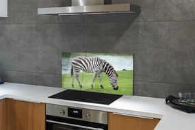 Nástenný panel  zebra 125x50 cm