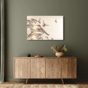 Obraz - Kolibríky (90x60 cm)