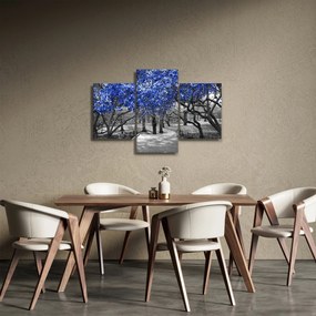 Obrázok - Modré stromy, Central Park, New York (90x60 cm)