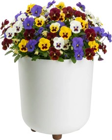 PLASTOVÝ KVETINÁČ TERRA 24X27,5 CM KRÉMOVÁ