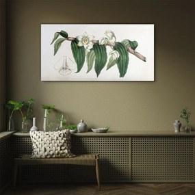 Skleneny obraz Kreslenie kvetinové konáre orchidey