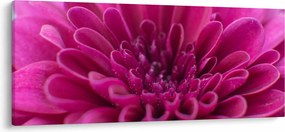 Obraz kvetu (120x50 cm)
