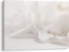 Obraz - Perie (70x50 cm)