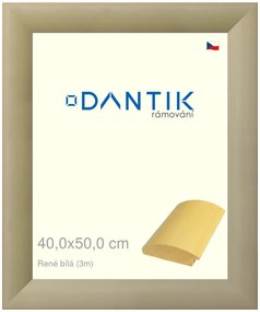 DANTIK rám na obraz 40x50 | René bílá (Sklo Čiré)