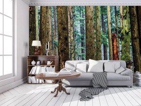 Fototapeta - Les (152,5x104 cm)