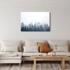Obraz - Zahmlený les (90x60 cm)