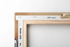 Obraz luxusné kvety kaly