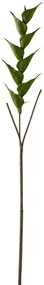 Zelená kvetina Heliconia - 141cm