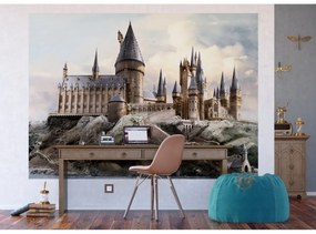 Detská fototapeta Harry Potter Hogwarts 252 x 182 cm, 4 diely