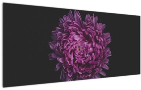 Obraz fialovej kvetiny (120x50 cm)