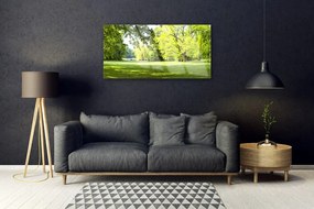 Skleneny obraz Tráva stromy park príroda 140x70 cm