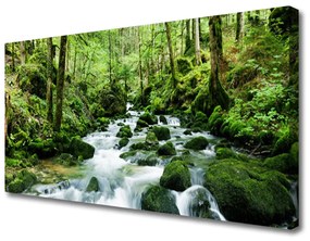 Obraz Canvas Les potok vodopády rieka 100x50 cm