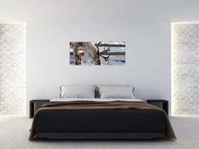 Obraz - Sob (120x50 cm)