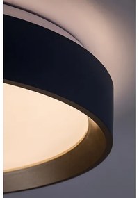 Rabalux 71185 - LED Stropné svietidlo LIATRIS LED/25W/230V 3000K pr. 38 cm