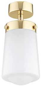 Argon 8005 - Prisadený luster PASADENA 1xE27/15W/230V zlatá/biela