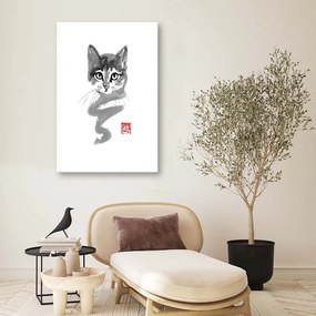 Gario Obraz na plátne Mladé mačiatko - Péchane Rozmery: 40 x 60 cm