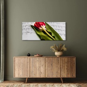 Obraz červeného tulipánu (120x50 cm)