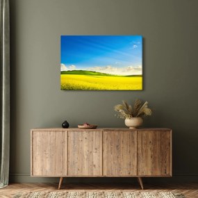Obraz - Jarné nebo (90x60 cm)