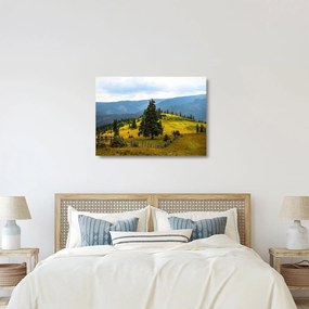 Sklenený obraz - Horská lúka (70x50 cm)