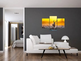 Obraz - Jeleň pri východe slnka (90x60 cm)
