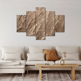 Obraz - Zlaté pole (150x105 cm)
