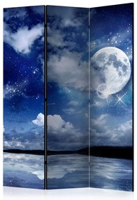 Artgeist Paraván - Magic Night [Room Dividers]