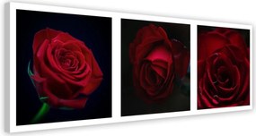 Obraz na plátně Sada červených růží - 120x40 cm