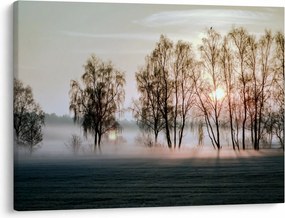 Obraz - Ranná sychravosť (70x50 cm)