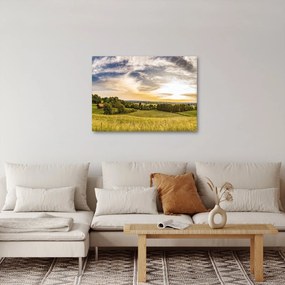 Obraz krajiny (70x50 cm)