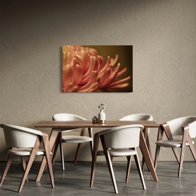 Obraz detailu kvety (90x60 cm)