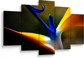 Obraz - Exotický kvet (150x105 cm)