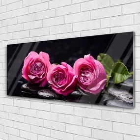 Obraz plexi Ruže kamene zen kúpele príroda 125x50 cm